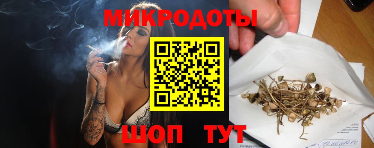 Псилоцибиновые грибы Psilocybine cubensis  Вход с VPN  Североморск 