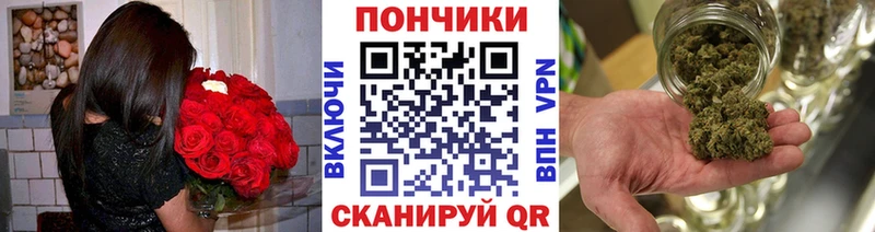 где продают наркотики  Североморск  МАРИХУАНА индика 